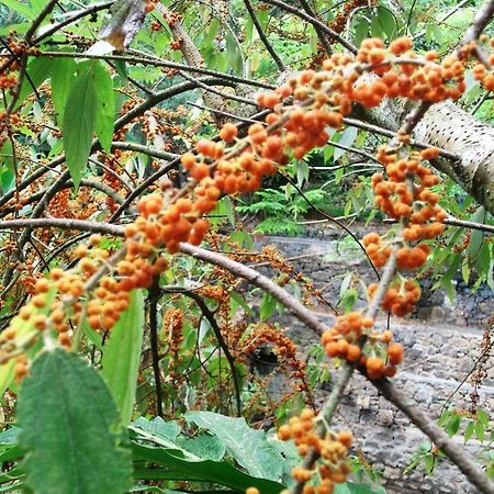 Mayapott Plantation Villa Thekkady Esterno foto